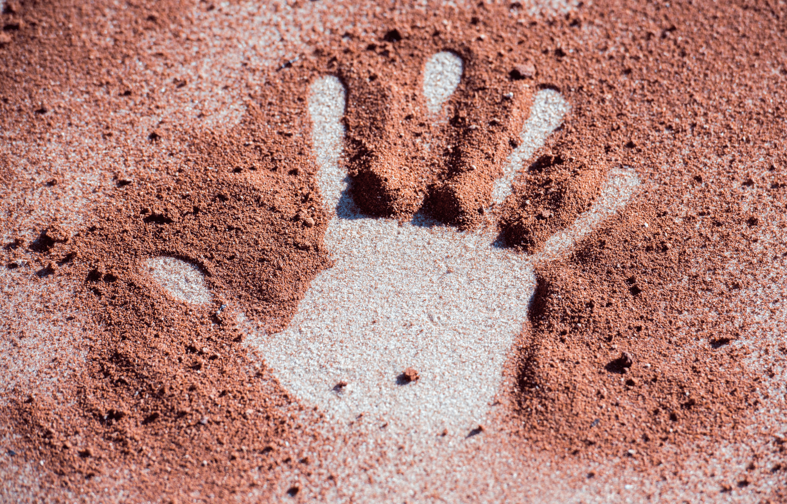 Safari Australien : les explorateurs