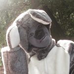 Safari Australien : rencontres animalières