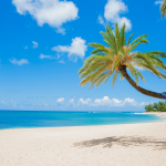 Île était une fois… Pagaille à Hawaï !