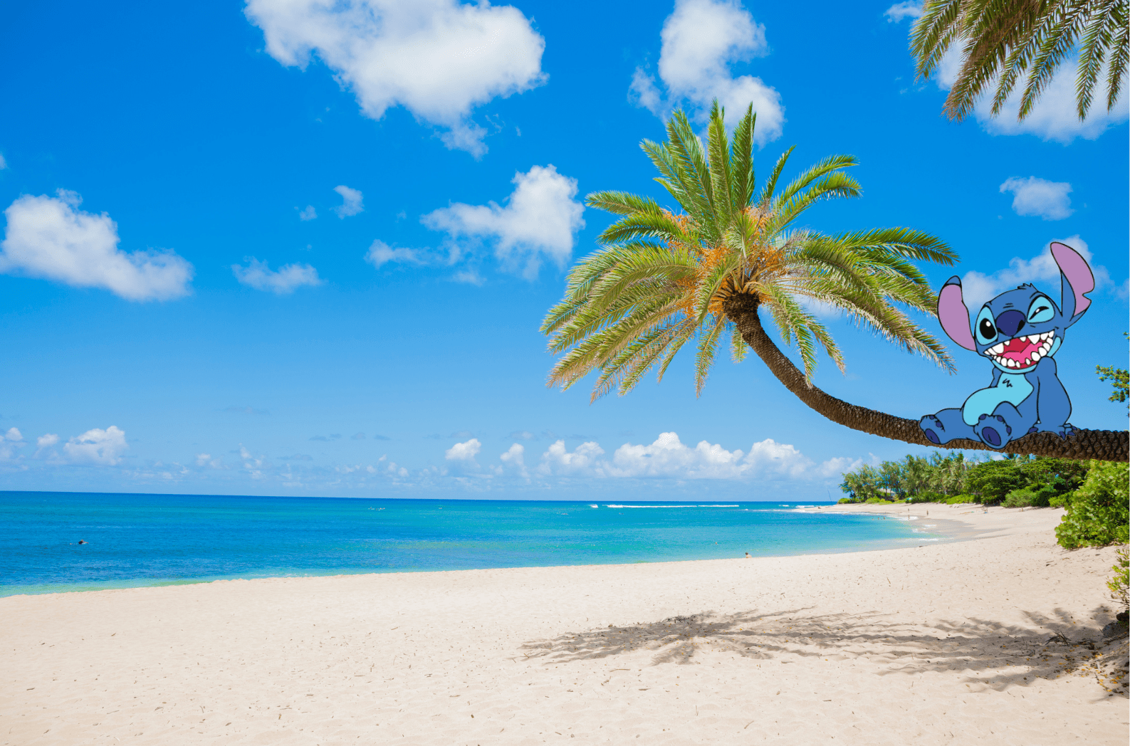 Île était une fois… Pagaille à Hawaï !